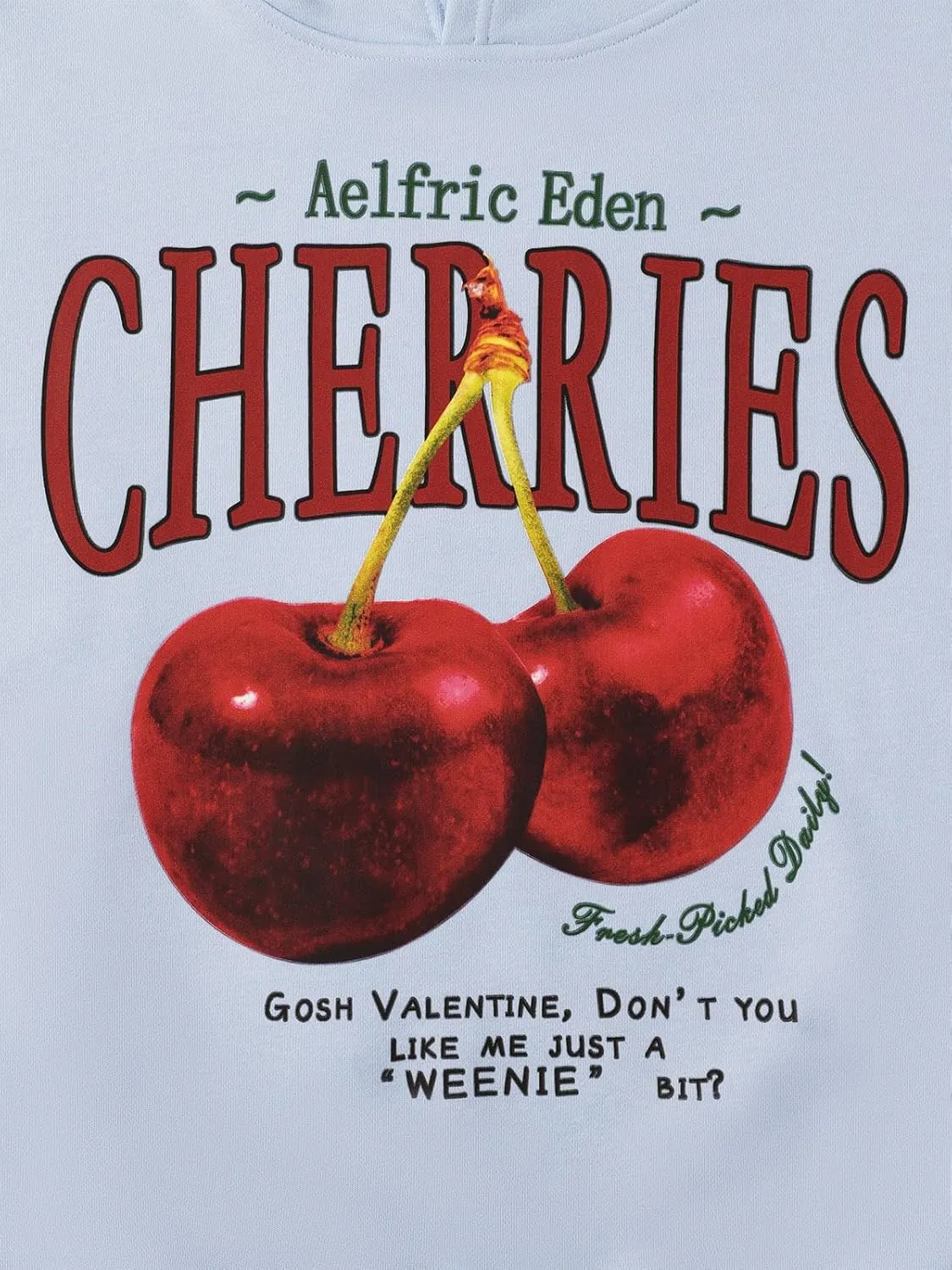 Aelfric Eden Cherry Graphic Hoodies Streetwear Hooded Sweatshirt Pullover Hip Hop Fashion Hoodies