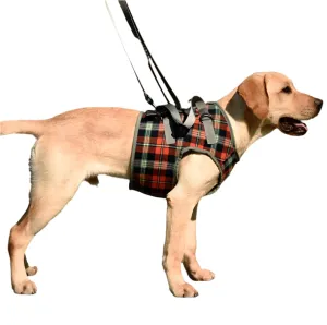 Assistive Dog Leg Straps Size L Front Leg Blue