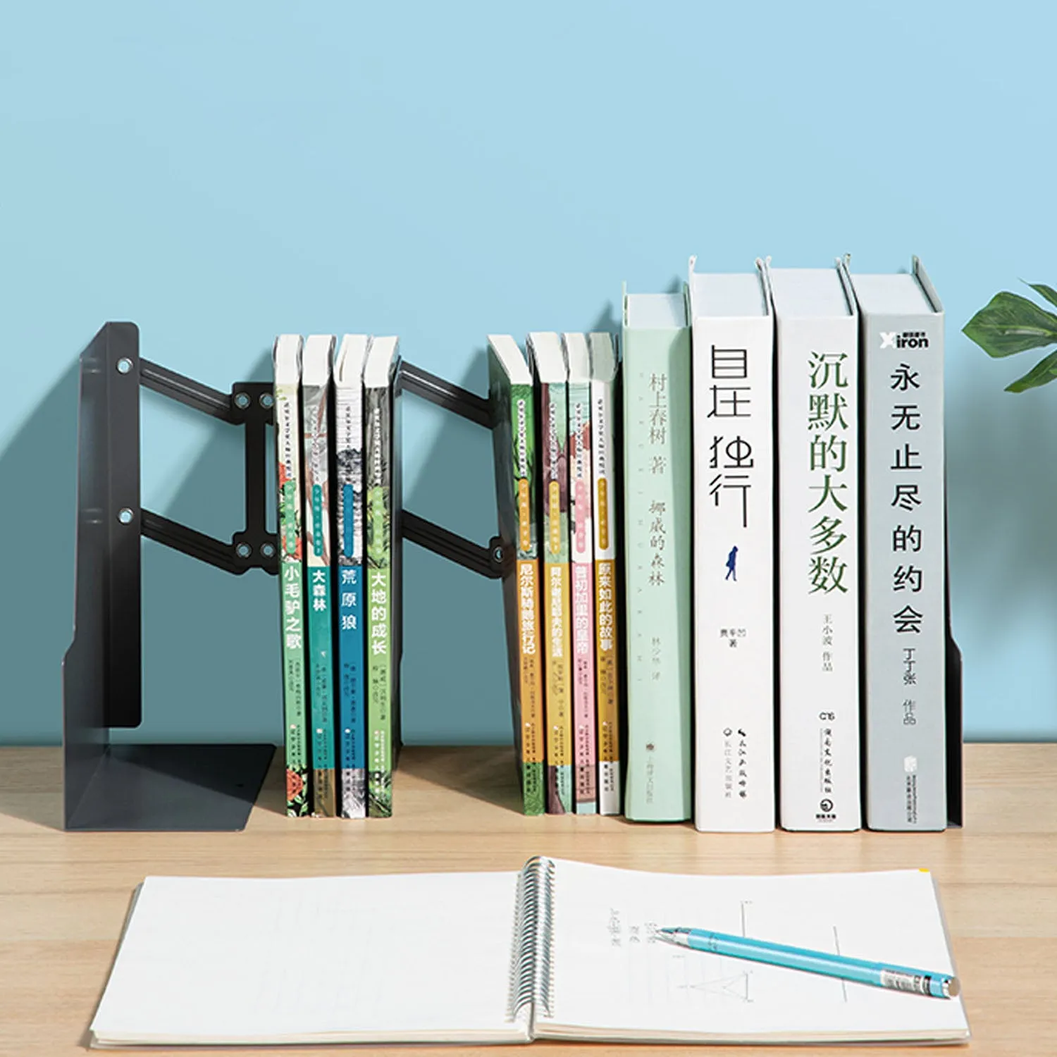 Book End