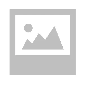 Bremo-Box File-Big Size