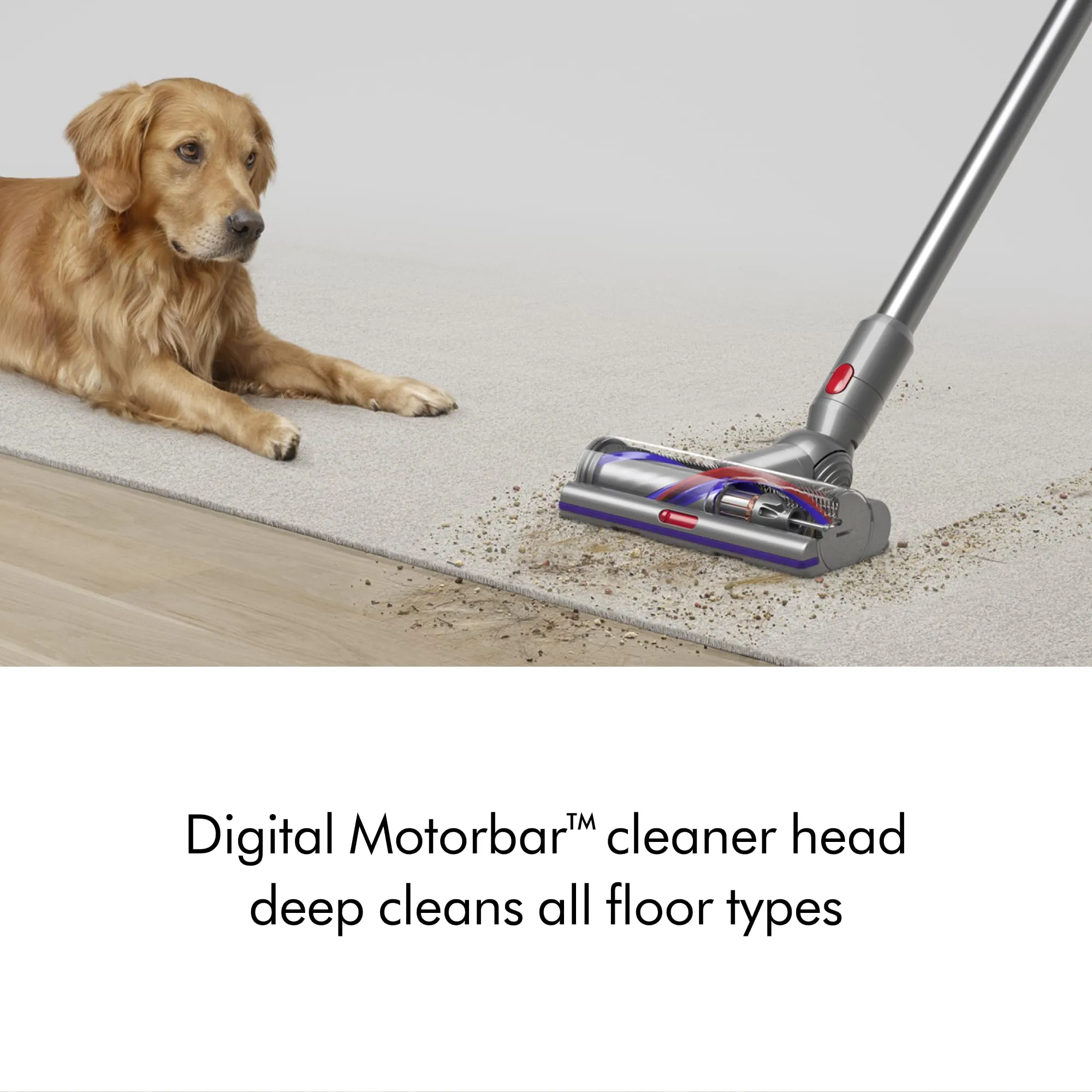 Dyson V15 Detect Plus Cordless Vacuum, Yellow/Nickel