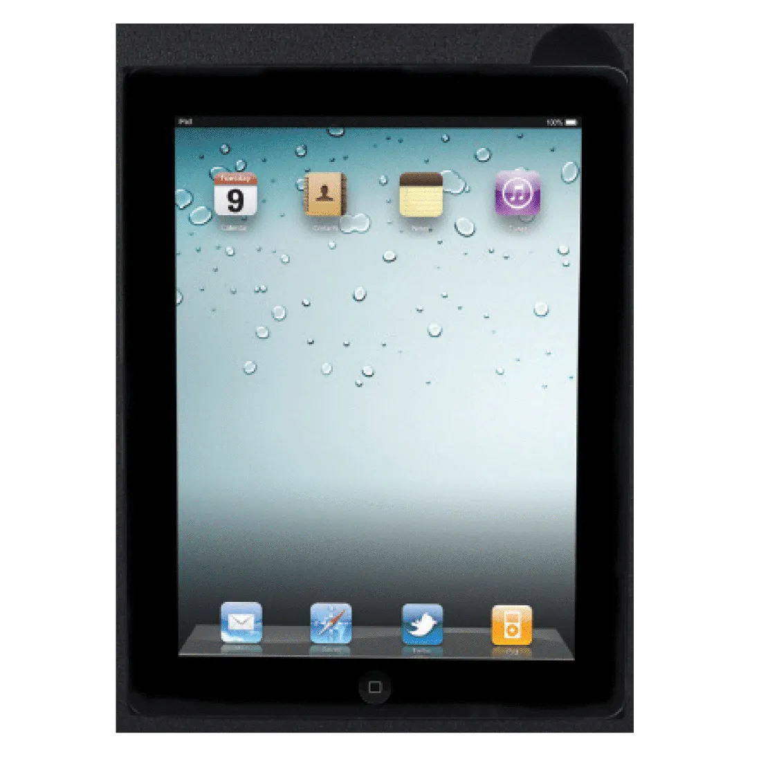 Foam Nest For Redi-Rite & Cruiser-Mate - iPad 2 or 3