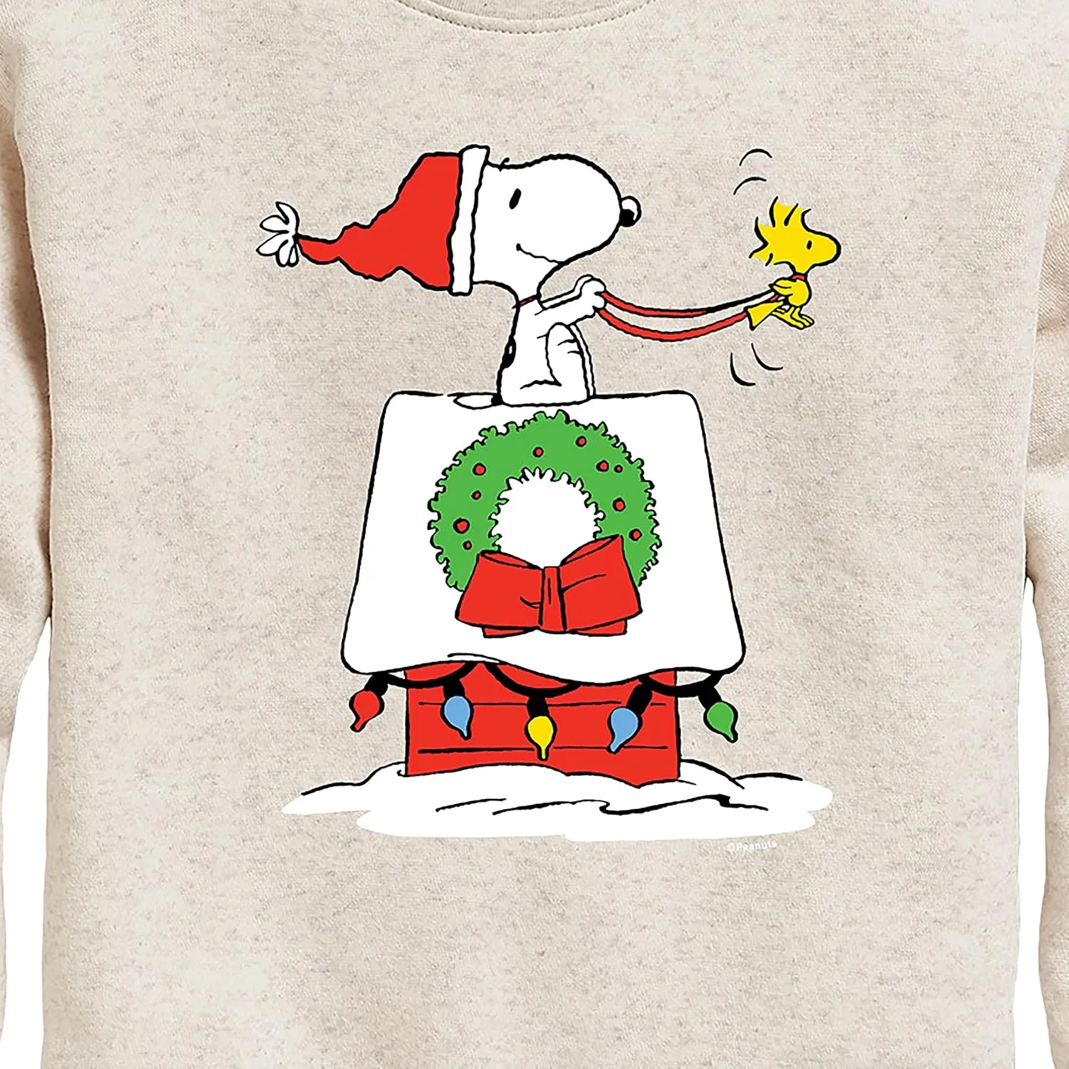 HYBRID APPAREL - Peanuts - Snoopy & Woodstock House Sleigh - Toddler and Youth Crewneck Fleece Sweatshirt