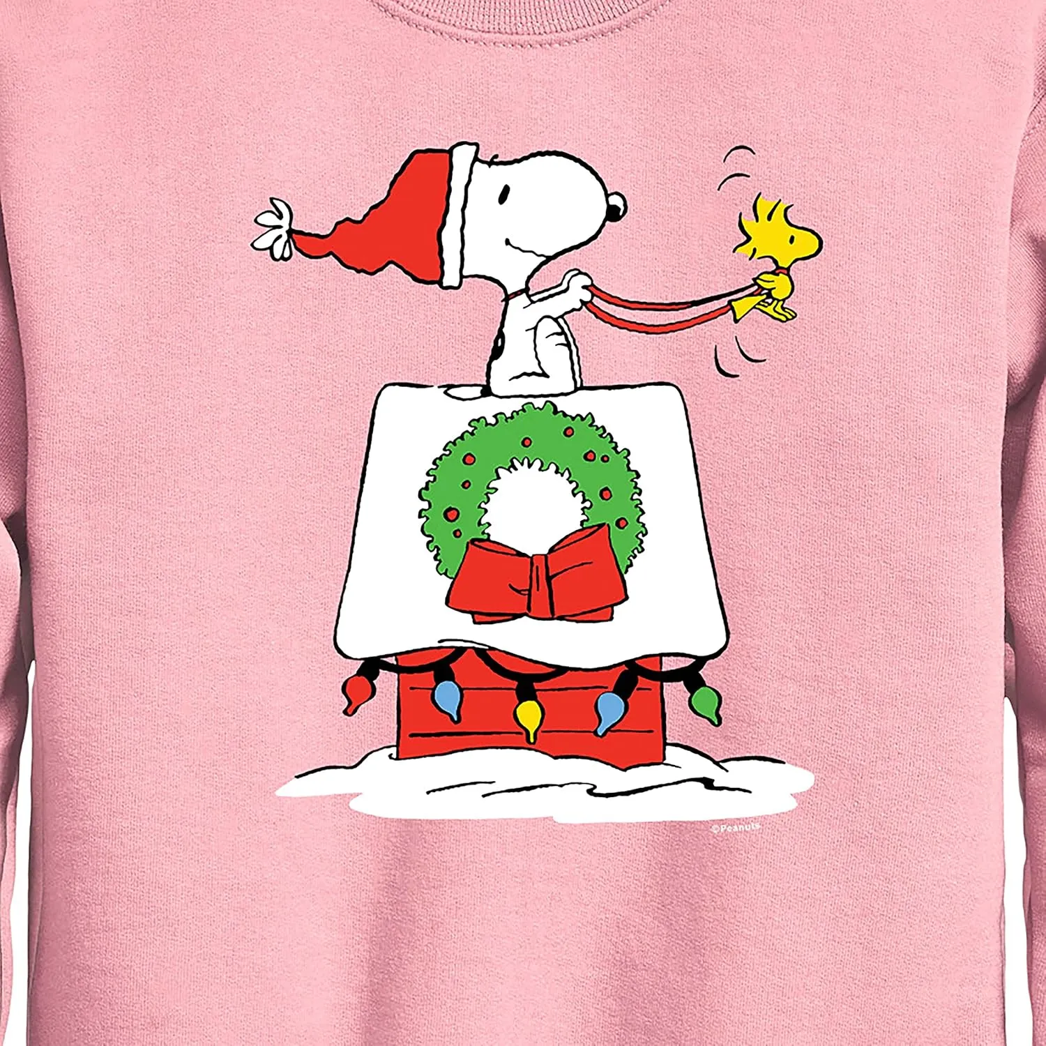 HYBRID APPAREL - Peanuts - Snoopy & Woodstock House Sleigh - Toddler and Youth Crewneck Fleece Sweatshirt
