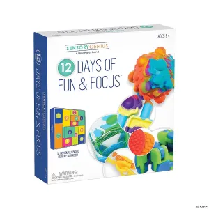 Sensory Genius - 12 Days of Fun and Focus